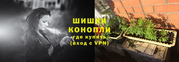 спайс Каменка