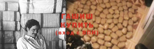 спайс Каменка