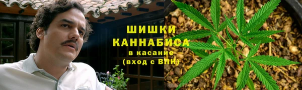 дурь Каменногорск